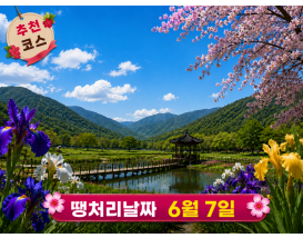 [C-115B] 추천코스 거창 감악산 무장애나눔길+거창 창포원 봄꽃