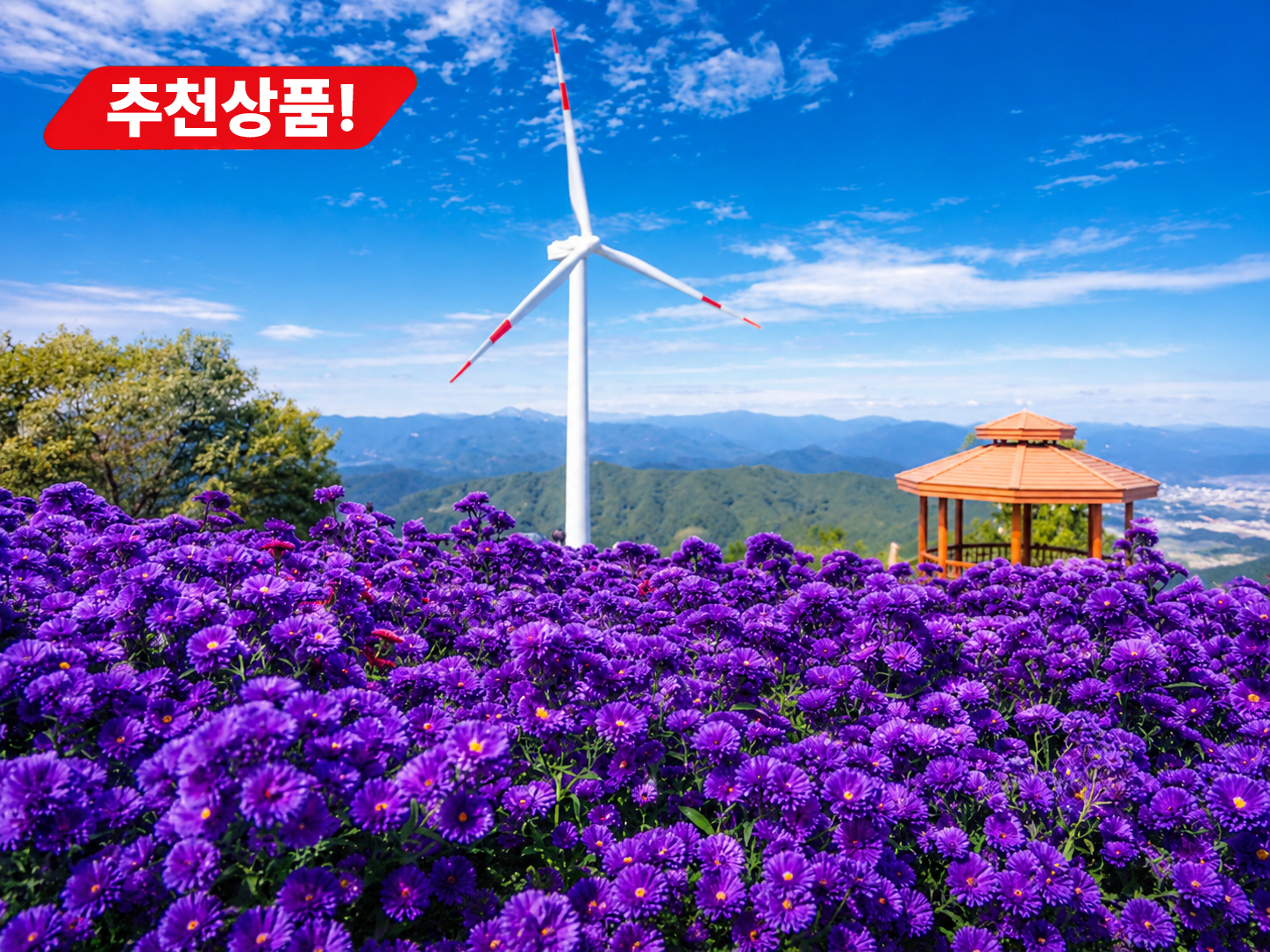 [C-115C] 추천코스 거창 감악산 아스타국화축제&무장애나눔길+창포원
