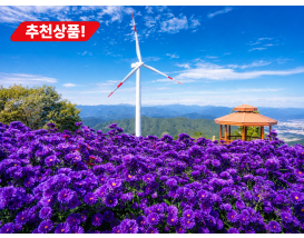 [C-115C] 추천코스 거창 감악산 아스타국화축제&무장애나눔길+창포원