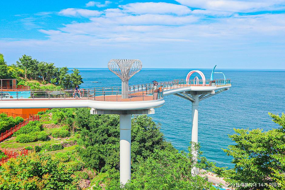 [C-120B] 삼척장미공원 장미축제+동해 논골담길&도째비골 스카이밸리