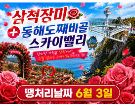 [C-120B] 삼척장미공원 장미축제+동해 논골담길&도째비골 스카이밸리