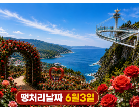 [C-120B] 삼척장미공원 장미축제+동해 논골담길&도째비골 스카이밸리
