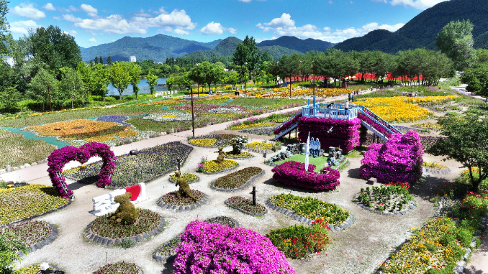 [C-122] 가평 목장 유채꽃+자라섬 꽃축제 또는 남이섬