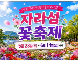 [C-122] 가평 목장 유채꽃+잣고을 전통5일장+자라섬 꽃축제 또는 남이섬