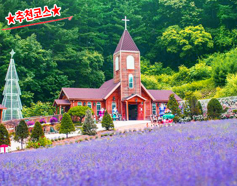 [C-124B] 포천 허브아일랜드 라벤더+포천 국립수목원