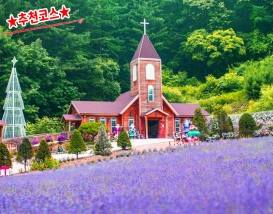 [C-124B] 포천 허브아일랜드 라벤더+포천 국립수목원