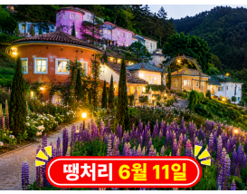 [C-124B] 포천 허브아일랜드 라벤더+포천 국립수목원