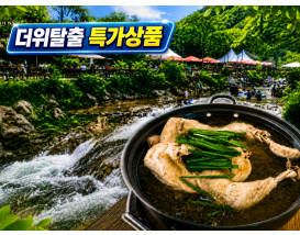 [C-125B] 인천투어닷컴 여름 특가! 포천 백운계곡+국립수목원 광릉숲+한방토종닭백숙