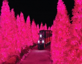 [C-125D] 포천 허브아일랜드 야경+포천 아트밸리 겨울여행