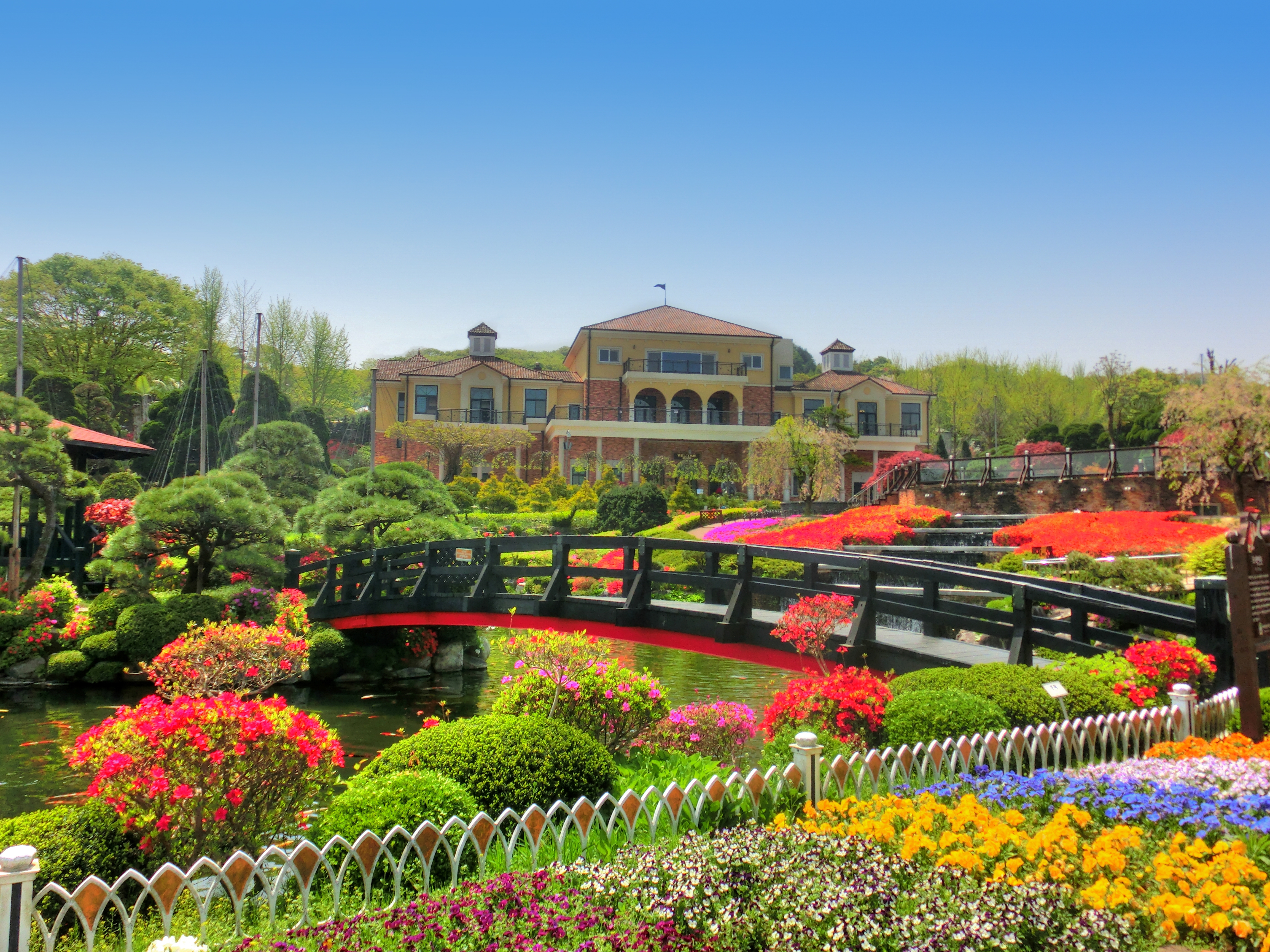 [C-128] 세종 베어트리파크 봄꽃+금강수목원이팝나무축제&붉은아카시아+영동 반야사