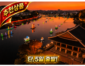 [C-130C] 2026진주 남강 유등축제야경+장성 노란꽃잔치+백양사