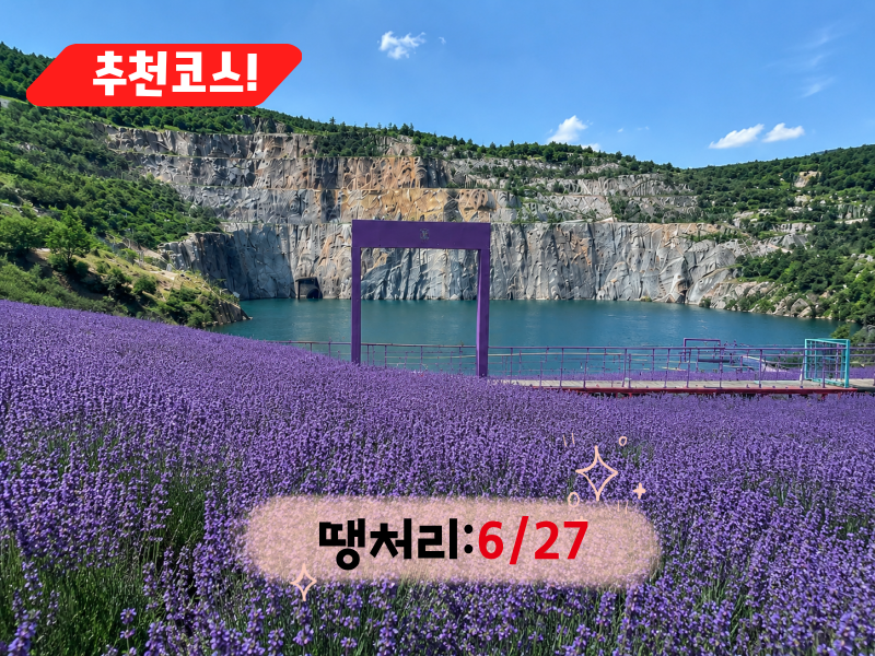 [C-131] 동해 라벤더명소 무릉별유천지+무릉계곡