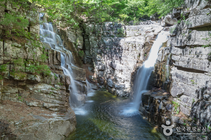 [C-131] 동해 라벤더명소 무릉별유천지+무릉계곡