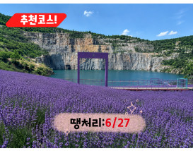 [C-131] 동해 라벤더명소 무릉별유천지+무릉계곡