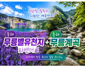 [C-131] 동해 라벤더명소 무릉별유천지+무릉계곡