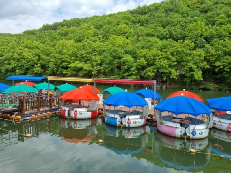 [C-145] 함안 연꽃 테마파크+입곡군립공원 무빙보트+함안 무진정+오리불고기 특식