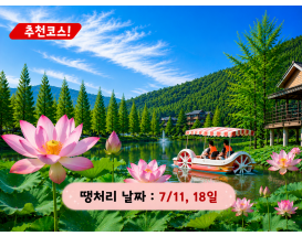 [C-145] 함안 연꽃 테마파크+입곡군립공원 무빙보트+함안 무진정+오리불고기 특식
