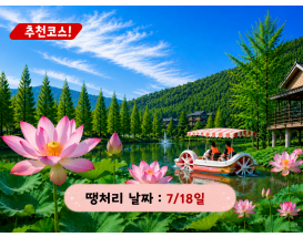 [C-145] 함안 연꽃 테마파크+입곡군립공원 무빙보트+함안 무진정+오리불고기 특식