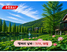 [C-145] 함안 연꽃 테마파크+입곡군립공원 무빙보트+함안 무진정+오리불고기 특식
