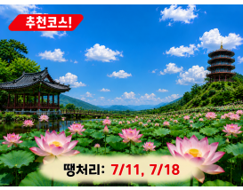 [C-145] 함안 연꽃 테마파크+입곡군립공원 무빙보트+함안 무진정+오리불고기 특식