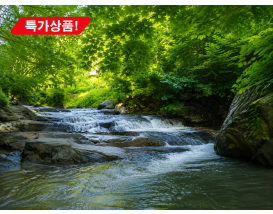 [C-146B] 아산강당골계곡+아산송악맨발황토둘레길+아산외암마을+우렁쌈밥