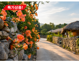 [C-146B] 아산강당골계곡+아산송악맨발황토둘레길+아산외암마을+우렁쌈밥