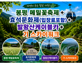 [C-147] 봉평 메밀꽃축제 + 효석문화재(입장료포함)+발왕산케이블카+기 스카이워크 + 발왕수가든