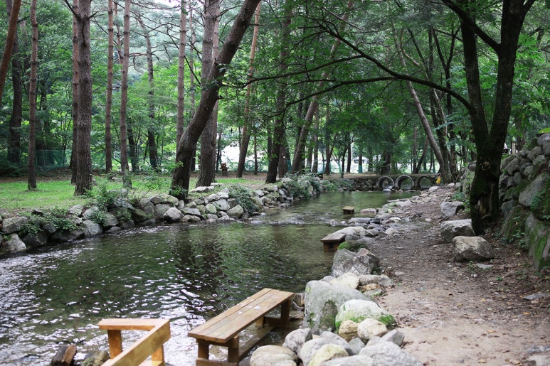 [C-147B] 평창 육백마지기+국립자생식물원+허브나라농원+흥정계곡