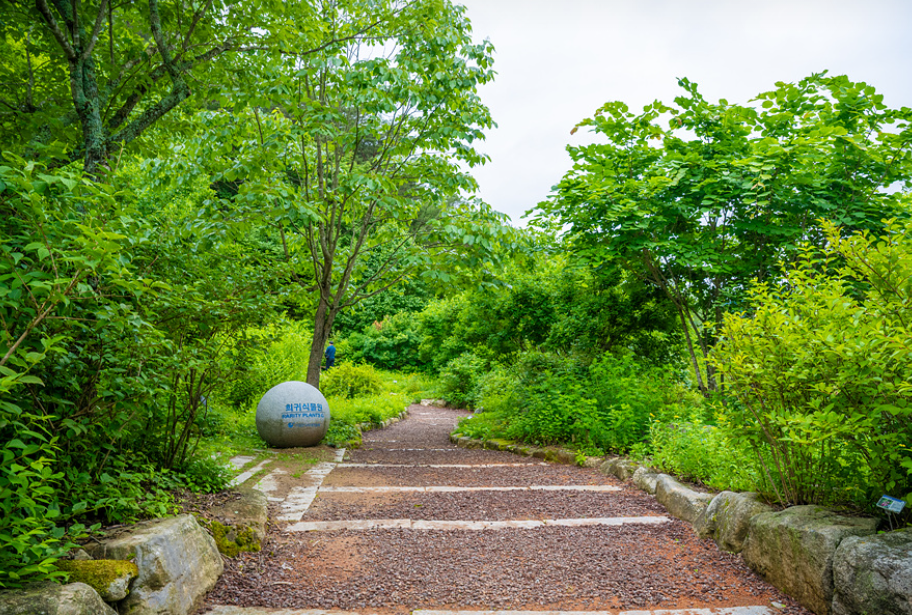 [C-147B] 평창 육백마지기+국립자생식물원+허브나라농원+흥정계곡