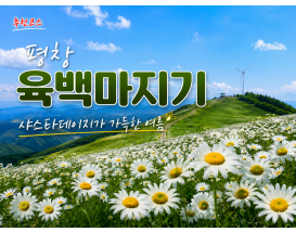 [C-147B] 추천코스 평창 육백마지기+국립자생식물원+허브나라농원+흥정계곡