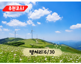 [C-147B] 추천코스 평창 육백마지기+국립자생식물원+허브나라농원+흥정계곡
