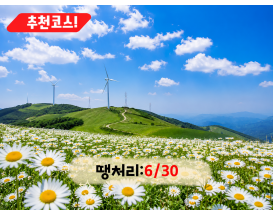 [C-147B] 추천코스 평창 육백마지기+국립자생식물원+허브나라농원+흥정계곡
