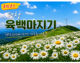 [C-147B] 추천코스 평창 육백마지기+국립자생식물원+허브나라농원+흥정계곡