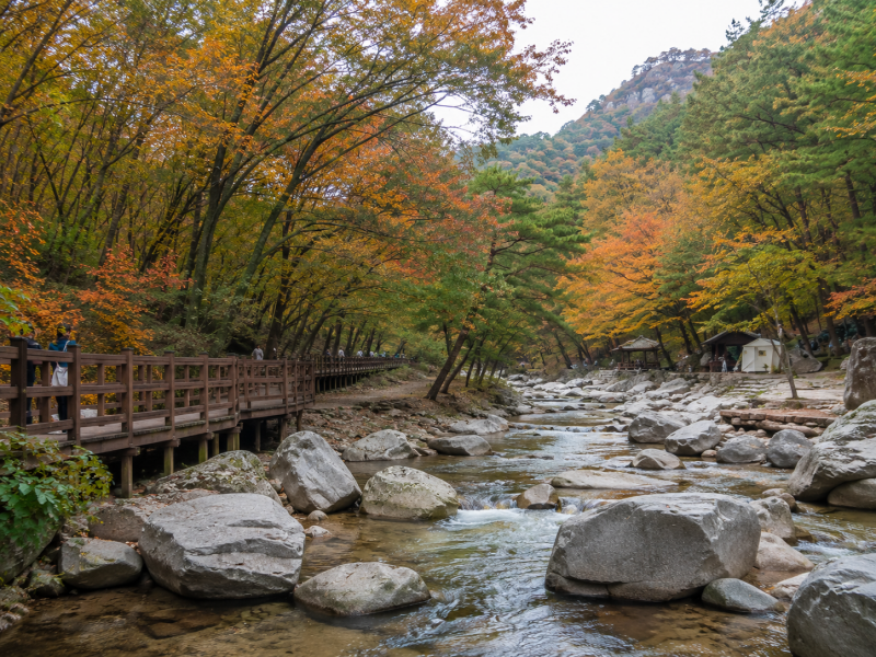 [C-150C] 공주알밤체험 +계룡산국립공원수통골