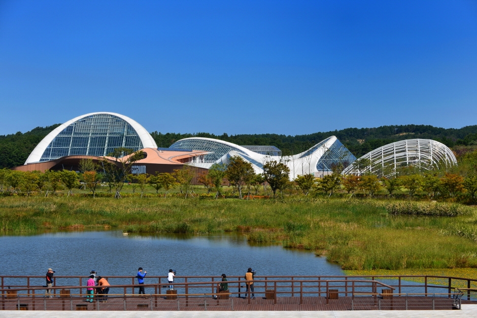 [C-154C] 서천 신성리갈대밭+국립생태원+마량포구 해돋이둘레길