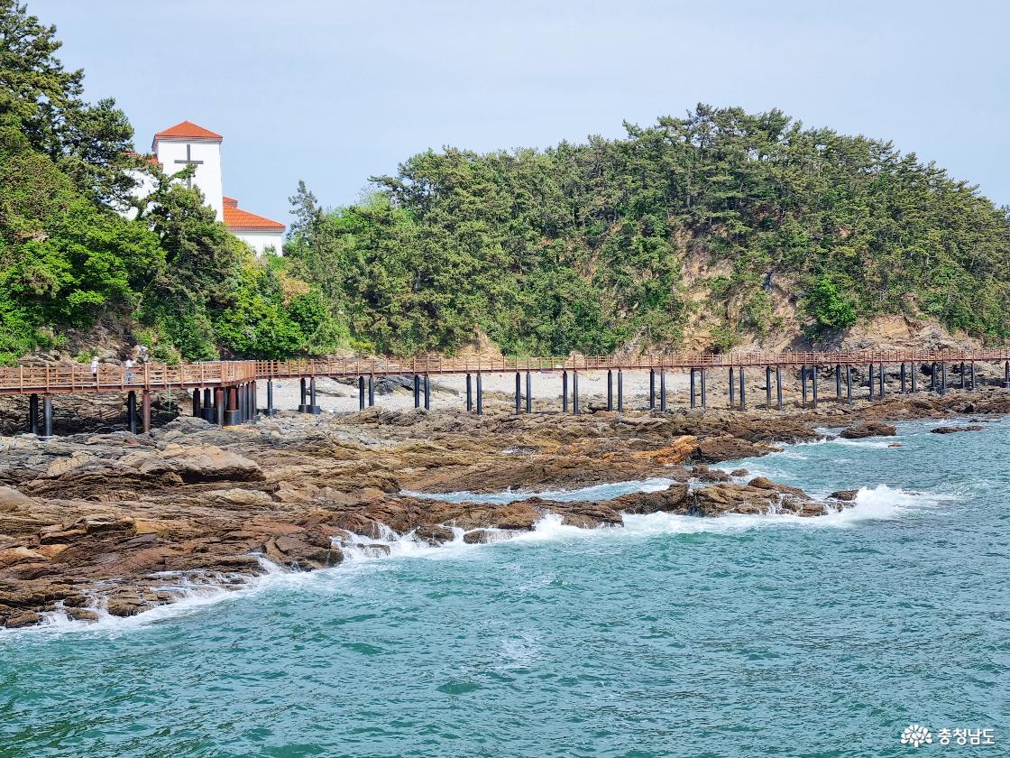 [C-154C] 서천 신성리갈대밭+국립생태원+마량포구 해돋이둘레길