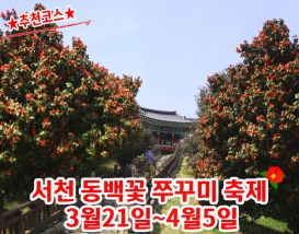 [C-156A] 서천 동백꽃 주꾸미축제+아리랜드 봄꽃축제