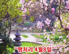 [C-166] 천리포 목련축제+당진 실치축제+삼선산수목원