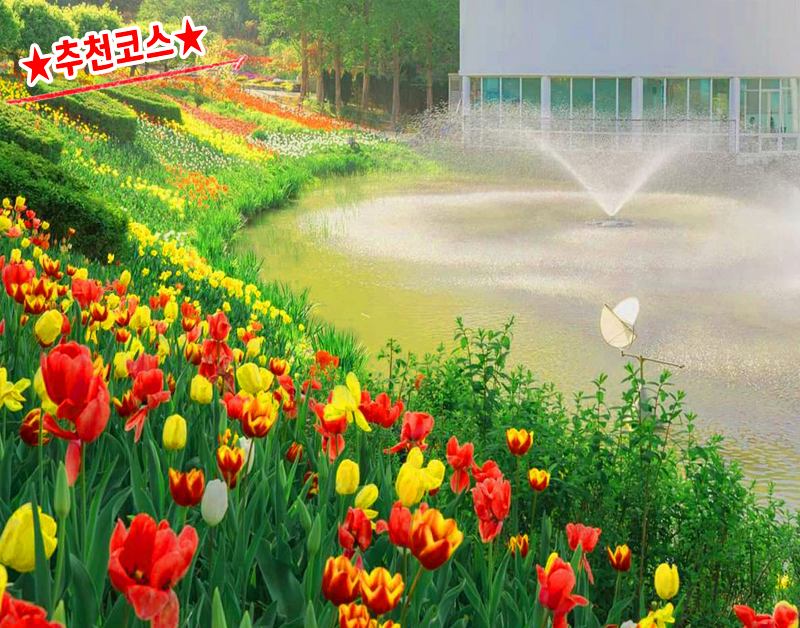 [C-168] 아산 봉곡사 천년의 숲길+신정호 벚꽃+피나클랜드 봄꽃축제