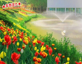 [C-168] 아산 봉곡사 천년의 숲길+신정호 벚꽃+피나클랜드 봄꽃축제