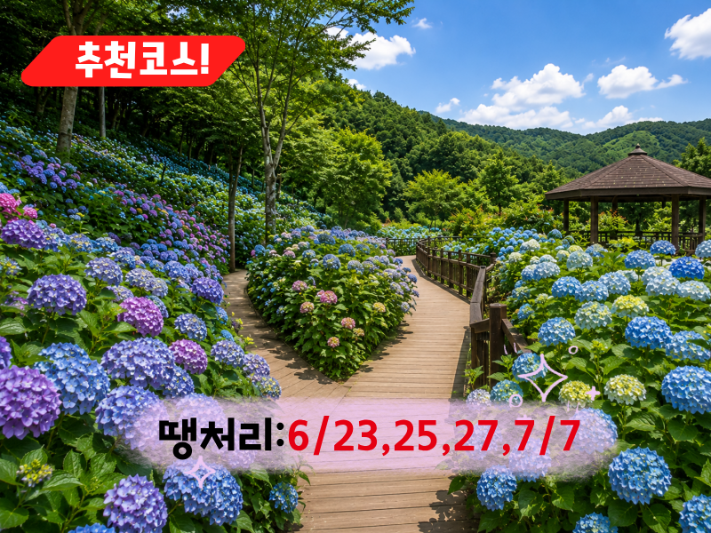 [C-168B] 추천코스 당진 삼선산수목원+당진 아미미술관+서산 부석사 수국여행