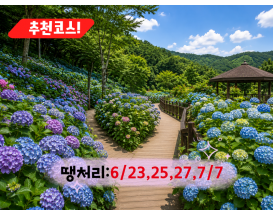 [C-168B] 추천코스 당진 삼선산수목원+당진 아미미술관+서산 부석사 수국여행
