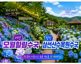 [C-168B] 추천코스 당진 삼선산수목원+당진 아미미술관+서산 모월힐링숲 수국여행