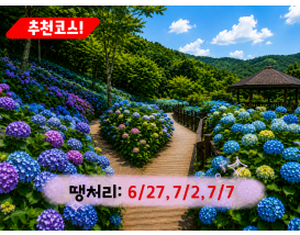[C-168B] 추천코스 당진 삼선산수목원+당진 아미미술관+서산 부석사 수국여행