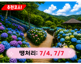 [C-168B] 추천코스 당진 삼선산수목원+당진 아미미술관+서산 부석사 수국여행