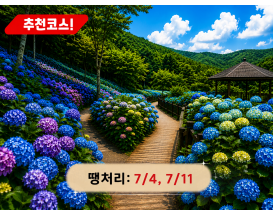 [C-168B] 추천코스 당진 삼선산수목원+당진 아미미술관+서산 부석사 수국여행