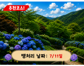 [C-168B] 추천코스 당진 삼선산수목원+당진 아미미술관+서산 부석사 수국여행