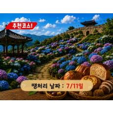[C-174B] 공주 유구 색동정원 수국축제+공산성&밤마을베이커리+공주산성시장