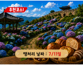 [C-174B] 공주 유구 색동정원 수국축제+공산성&밤마을베이커리+공주산성시장