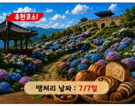 [C-174B] 공주 유구 색동정원 수국축제+공산성&밤마을베이커리+공주산성시장